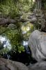 Gaan Canyon Pools
